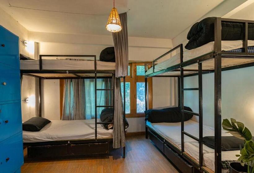 تختخواب در اتاق مشترک, Nomads Hostel
