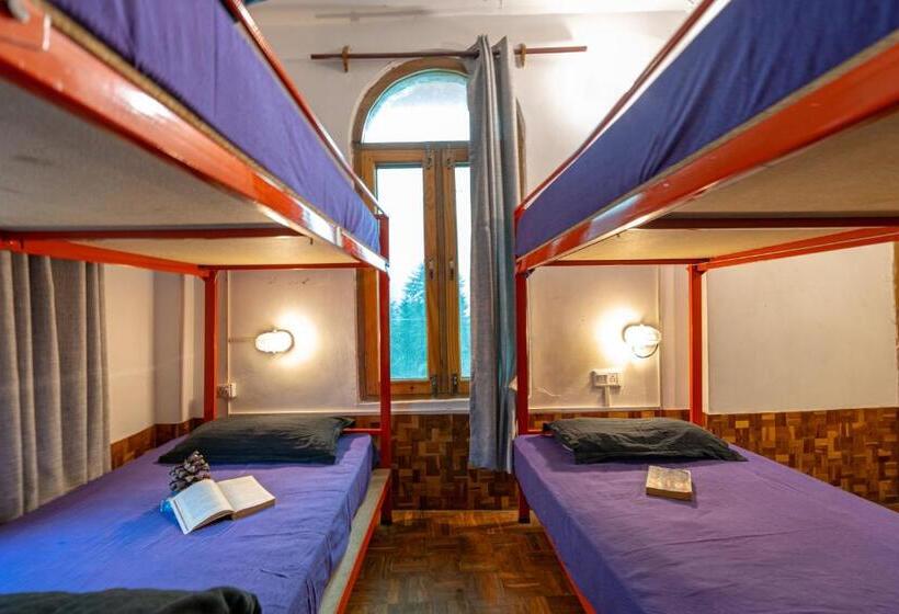 تختخواب در اتاق مشترک, Nomads Hostel