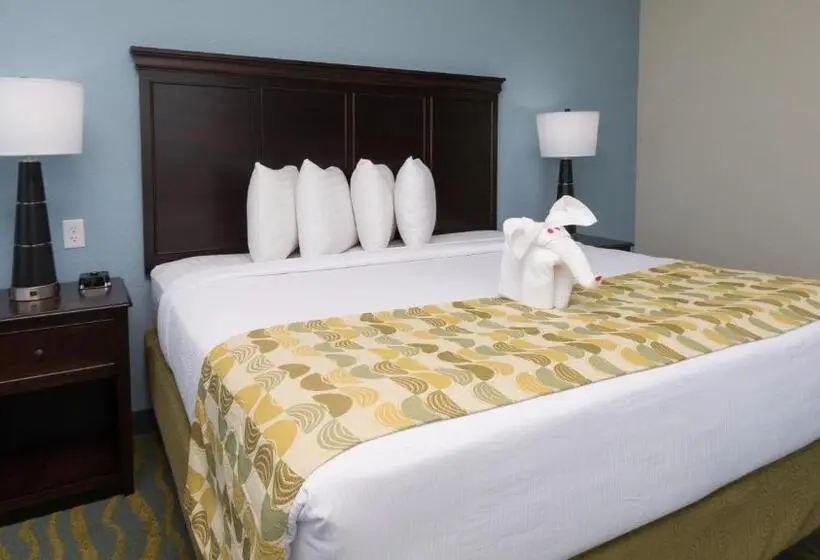 キングサイズベッドのスタンダードルーム, Edge Hotel Clearwater Beach