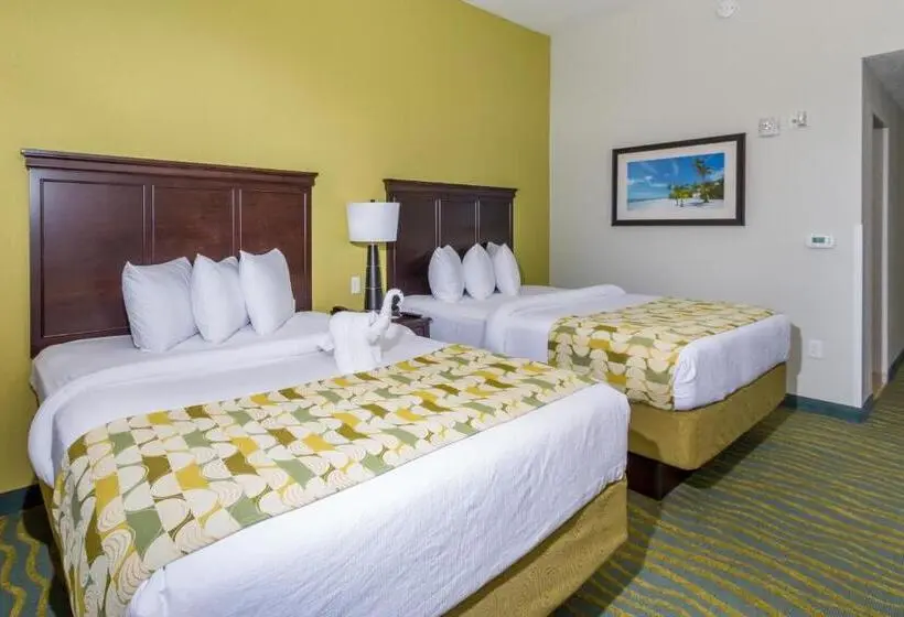 スタンダードシティビュールーム, Edge Hotel Clearwater Beach