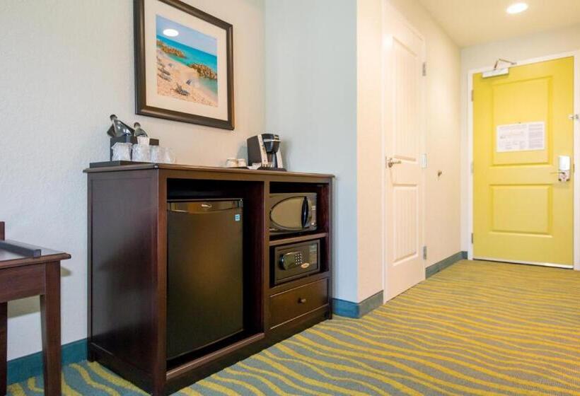 غرفة قياسية مطلة على المدينة, Edge Hotel Clearwater Beach