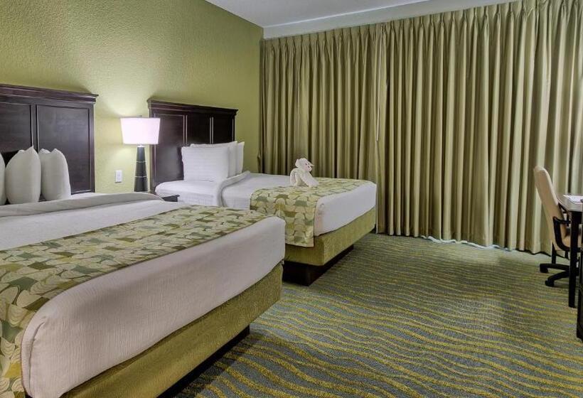 스탠다드 전망 룸, Edge Hotel Clearwater Beach