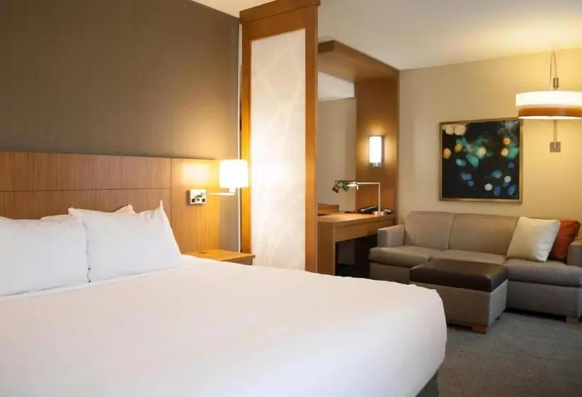 Standard-huone King-vuode, Hyatt Place Blacksburg/university
