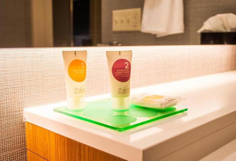 غرفة قياسية بالطابق العلوى, Hyatt Place Blacksburg/university