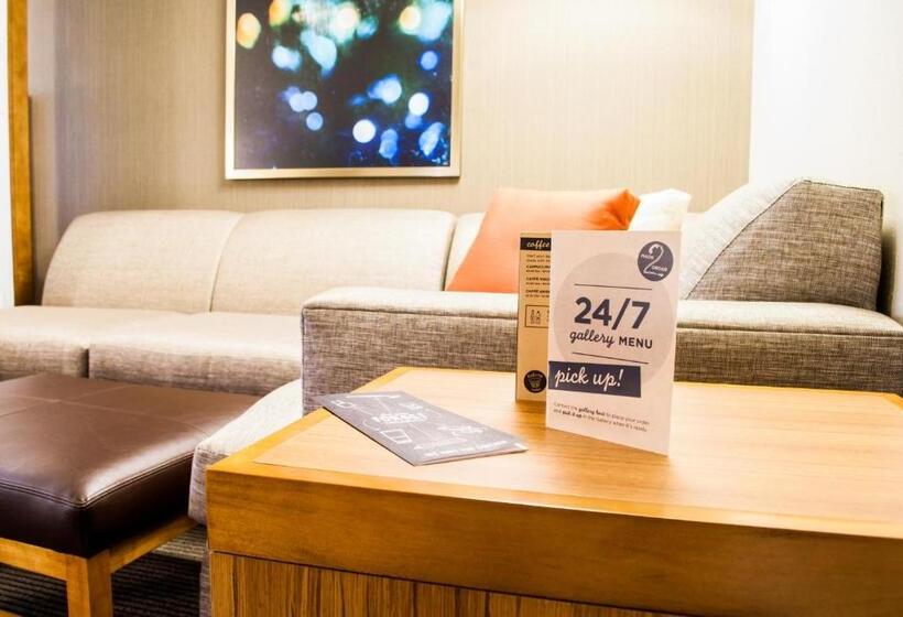 Номер Стандарт Адаптированный для Инвалидов, Hyatt Place Blacksburg/university