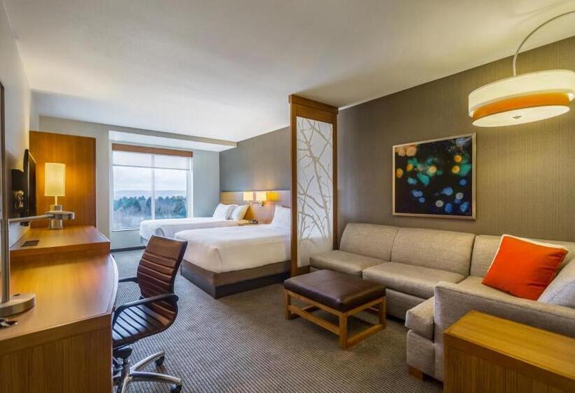 غرفة قياسية لذوى الاحتياجات الخاصة, Hyatt Place Blacksburg/university