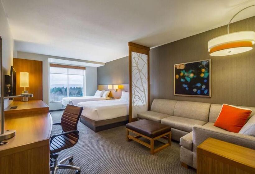 غرفة قياسية لذوى الاحتياجات الخاصة, Hyatt Place Blacksburg/university