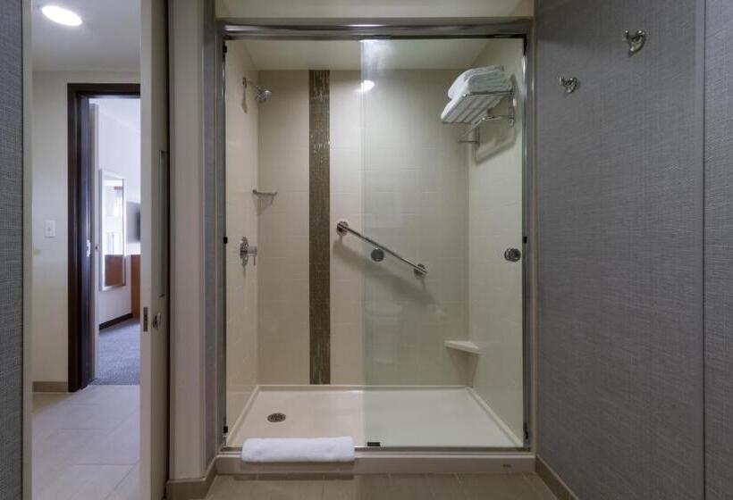 جناح سرير كينج, Hyatt Place Blacksburg/university