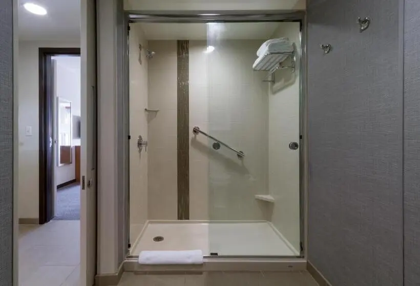 Sviitti King-vuode, Hyatt Place Blacksburg/university