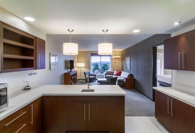 جناح سرير كينج, Hyatt Place Blacksburg/university