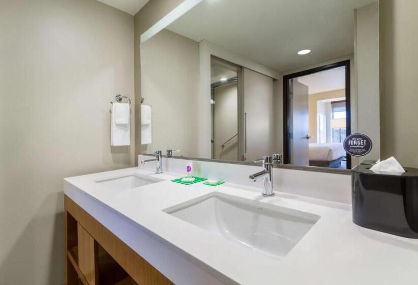 جناح سرير كينج, Hyatt Place Blacksburg/university