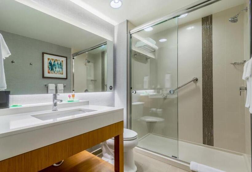 Стандартный Номер Кровать Кинг, Hyatt Place Blacksburg/university