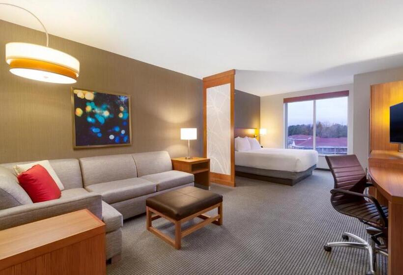 غرفة قياسية سرير كينج, Hyatt Place Blacksburg/university