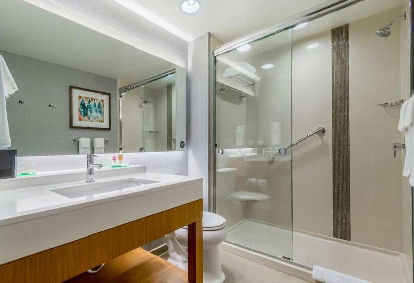 غرفة قياسية سرير كينج, Hyatt Place Blacksburg/university