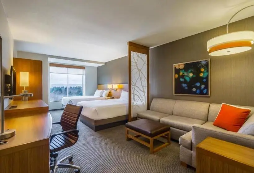 Standard-huone Parivuode, Hyatt Place Blacksburg/university