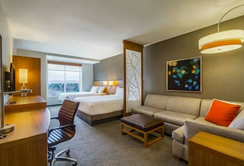 Standard-huone, Hyatt Place Blacksburg/university