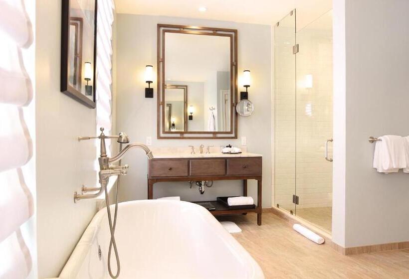 جناح ديلوكس سرير كينج, Nopsi Hotel New Orleans