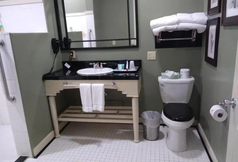 メゾネットスイート, Southern Comfort Suites