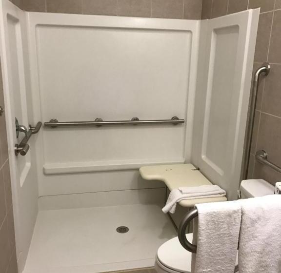 חדר סטנדרט יחיד מותאם לאדם עם מוגבלויות, Waterbury Big Apple Motel