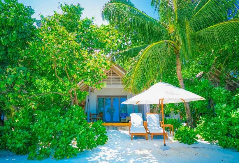 ویلای یک اتاق خوابه با استخر شنا, Nh Maldives Kuda Rah Resort   Stays Of 3 Nights Or More, 50 Percent Off Shared Roundtrip Transport