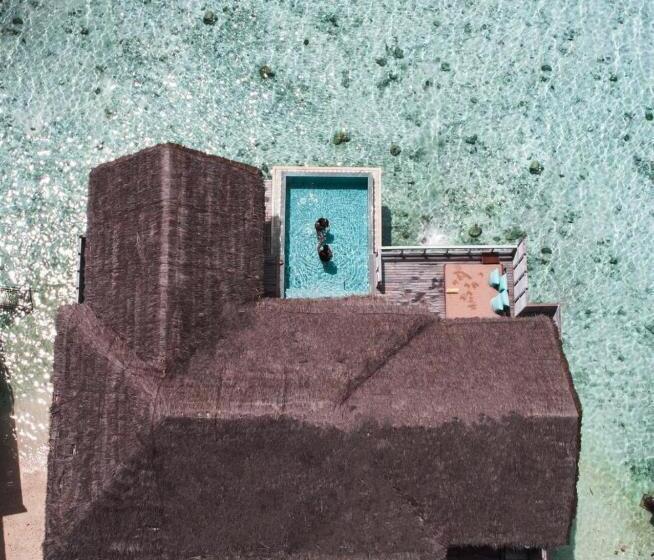 ویلای یک اتاق خوابه با استخر شنا, Nh Maldives Kuda Rah Resort   Stays Of 3 Nights Or More, 50 Percent Off Shared Roundtrip Transport