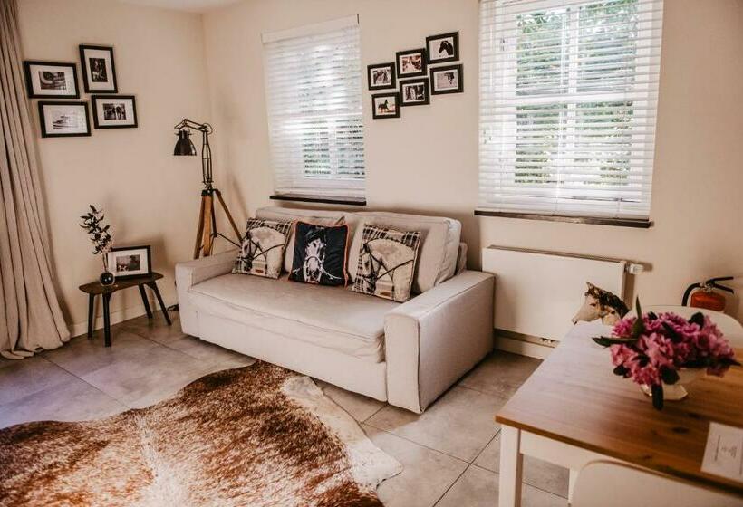 חדר סטנדרט פנימי, De Verloren Sinjoor