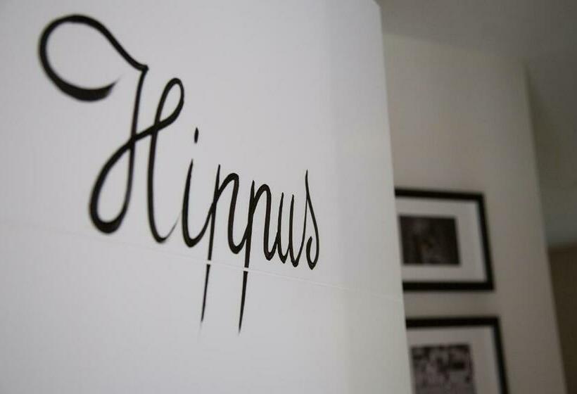 スタンダードインサイドビュールーム, De Verloren Sinjoor