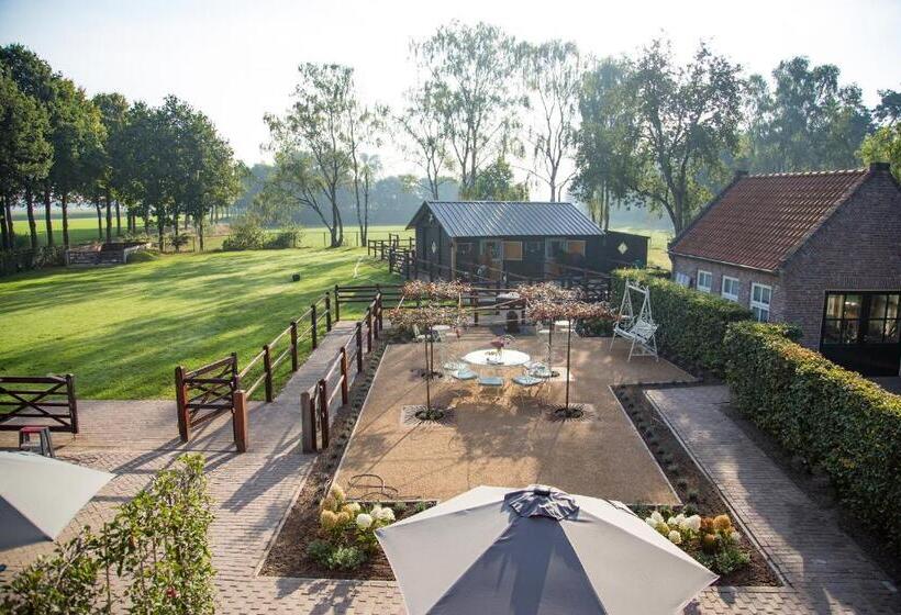 デラックスルーム, De Verloren Sinjoor