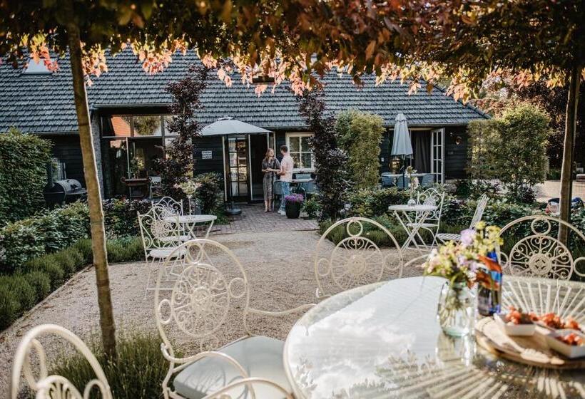 חדר סטנדרט, De Verloren Sinjoor