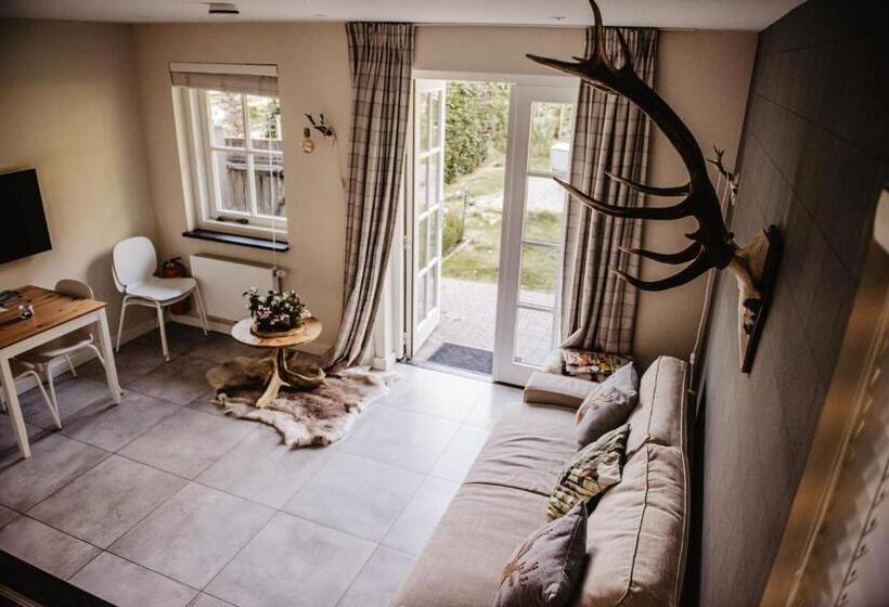 חדר סטנדרט עם טרסה, De Verloren Sinjoor