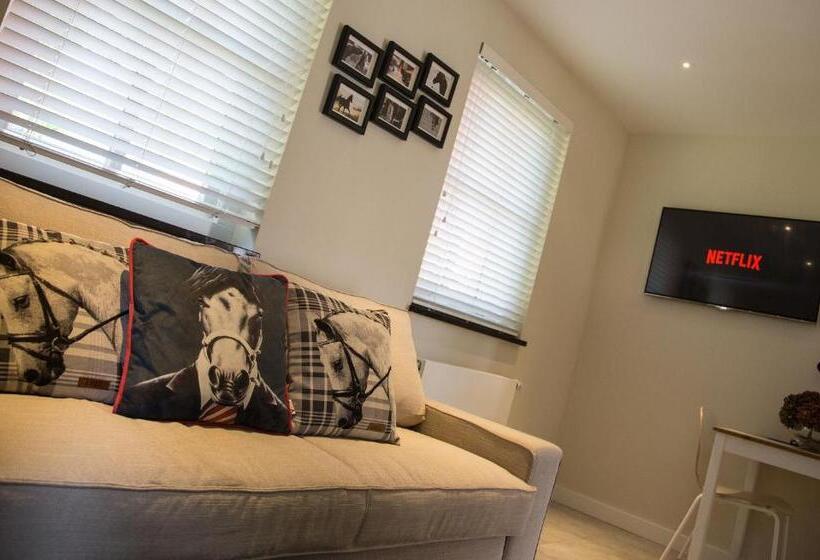 חדר סטנדרט פנימי, De Verloren Sinjoor