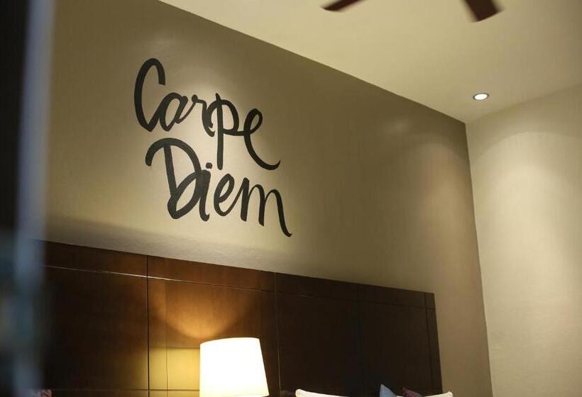 חדר סטנדרט, Punto Madero Hotel & Plaza