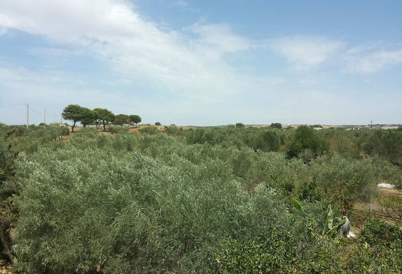 带观景的标准间, Baglio Il Giovinetto