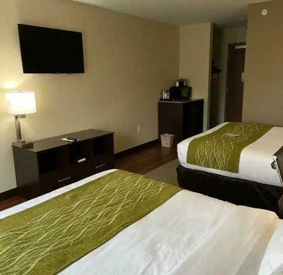スタンダードルーム, Comfort Inn