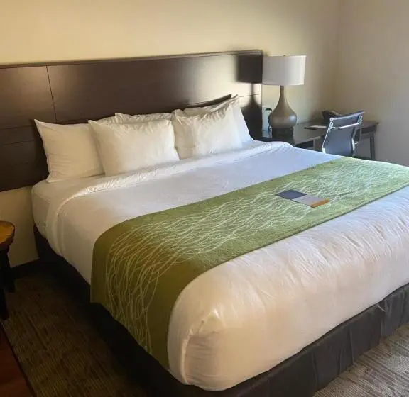 キングサイズベッドのスタンダードルーム, Comfort Inn