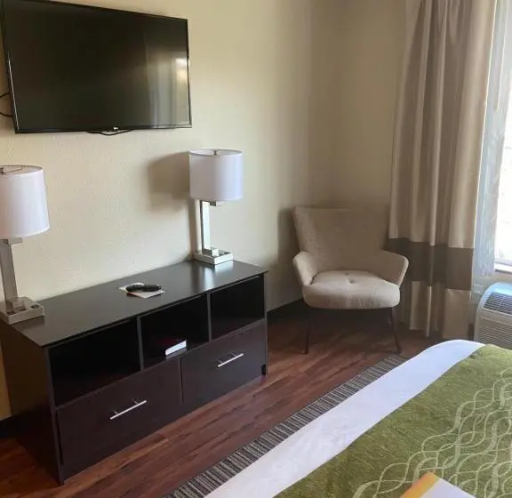 キングサイズベッドのスタンダードルーム, Comfort Inn