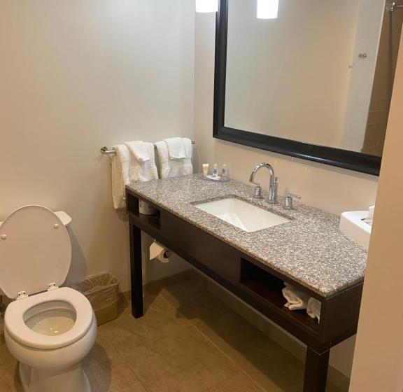 Стандартный Номер Кровать Кинг, Comfort Inn