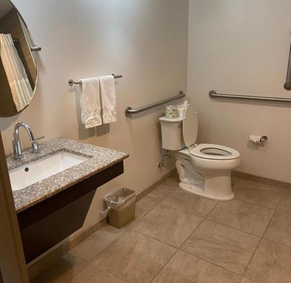 Номер Стандарт Кровать Кинг Адаптированный для Инвалидов, Comfort Inn