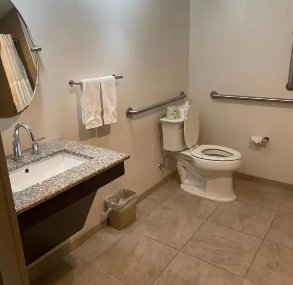 身障者適用キングサイズベッドルーム, Comfort Inn
