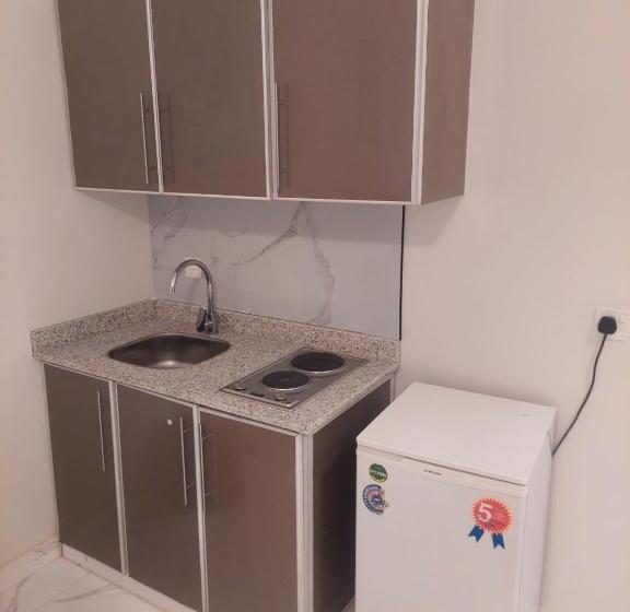 带大床的标准工作室, شقة بغرفة نوم وغرفة جلوس