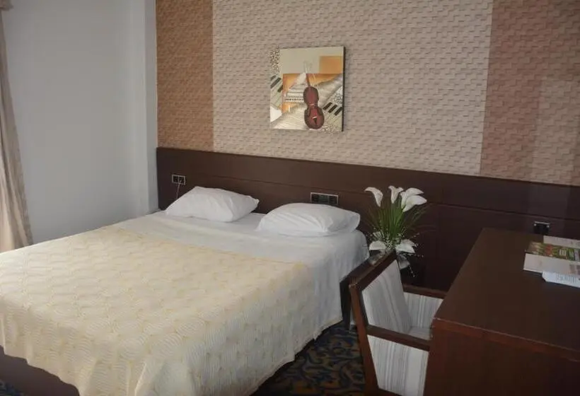 اتاق استاندارد یک نفره, Koç Otel çankırı