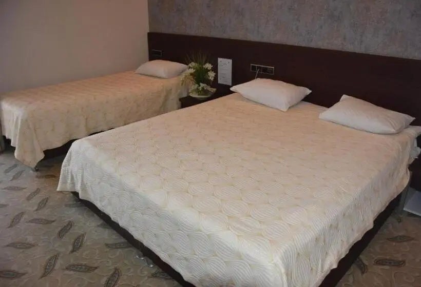 اتاق خانوادگی, Koç Otel çankırı