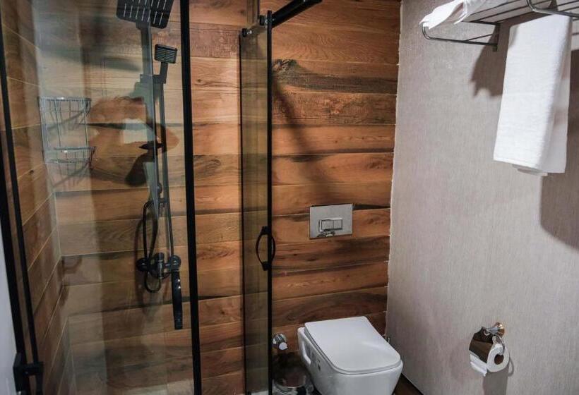 جناح ديلوكس, Siwiss İnn Experess