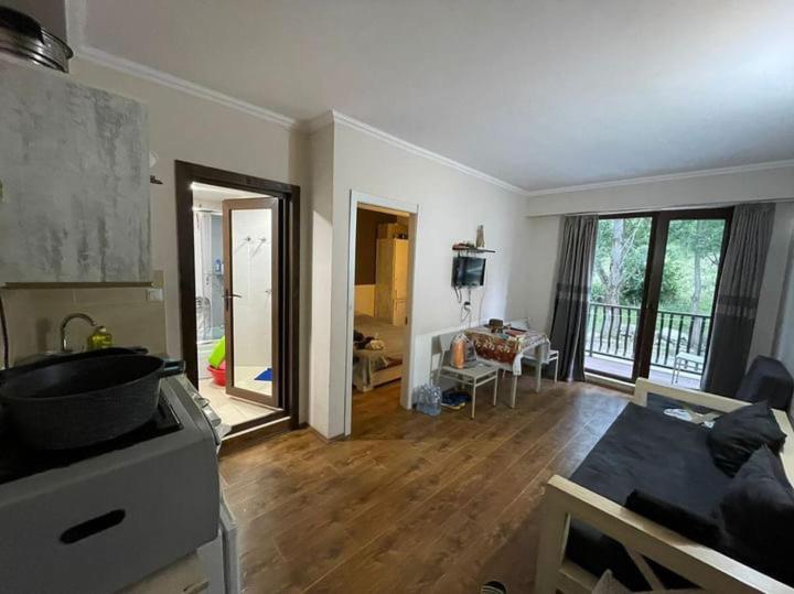 Appartement 1 Chambre, Kgzavrevi