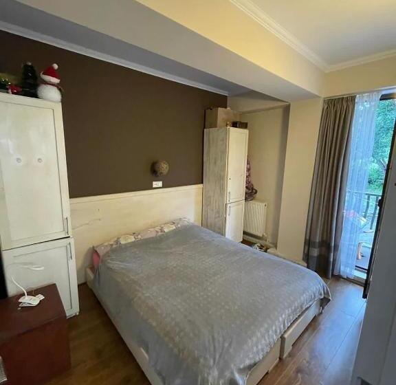 Appartement 1 Chambre, Kgzavrevi