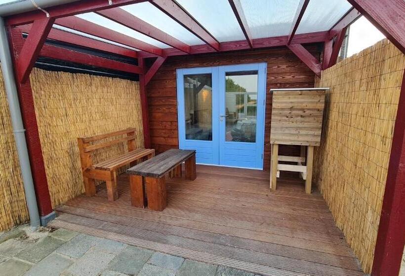 带大床的标准间, The Shed