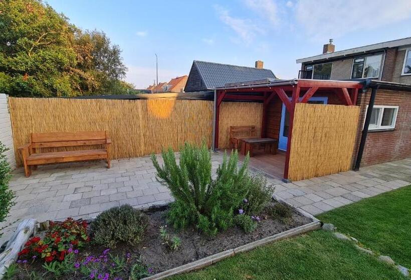 带大床的标准间, The Shed