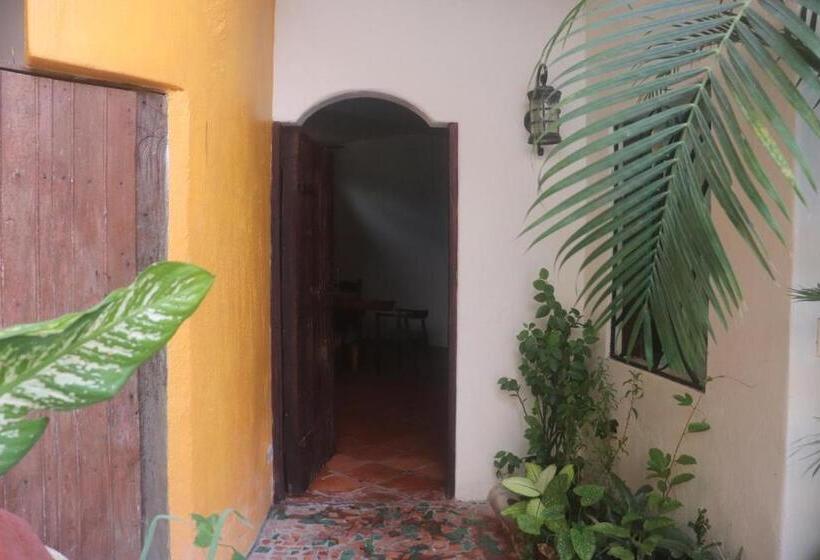 ２ベッドルームデラックスアパートメント, Artesanal