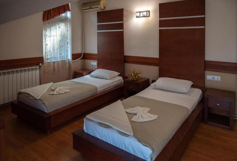 اتاق استاندارد با چشم‌انداز شهر, Blue Sky