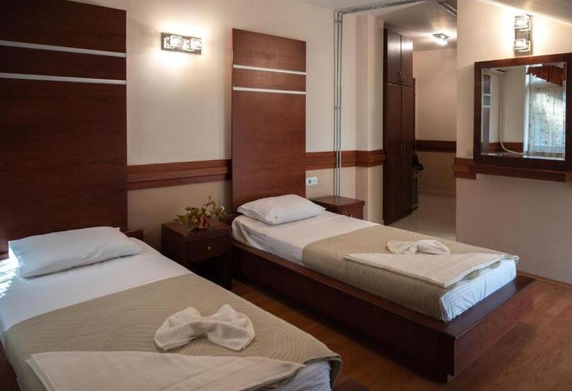 اتاق استاندارد با چشم‌انداز شهر, Blue Sky